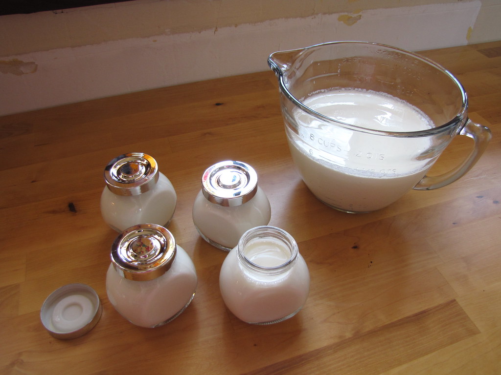 yogurt vs sour cream