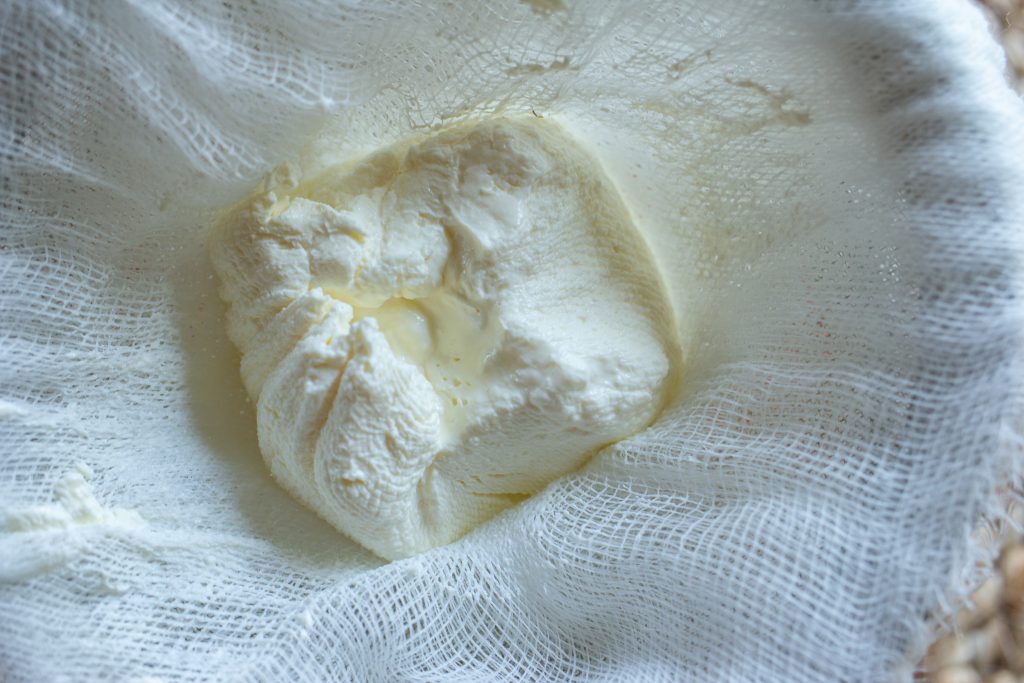 Make Kefir Cheese